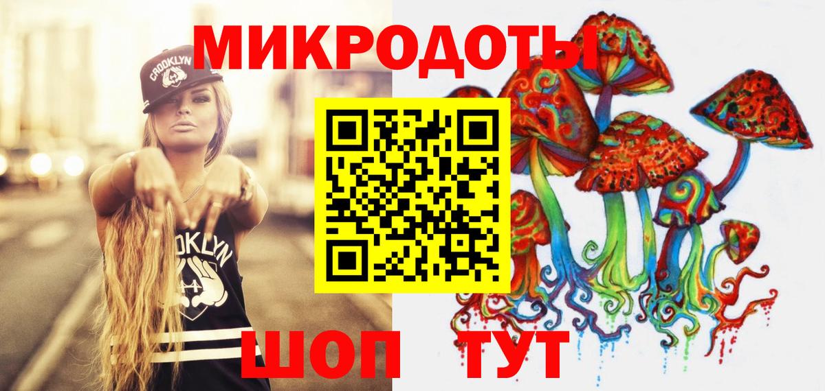 Псилоцибиновые грибы мицелий Туапсе