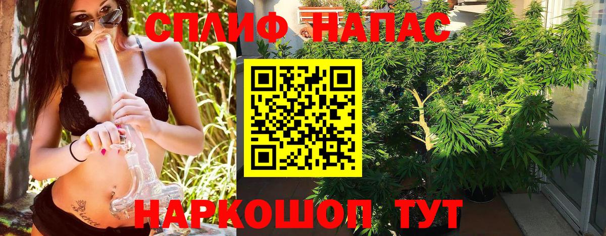 Каннабис гибрид  МАРИХУАНА OG Kush  Вход с VPN  Туапсе  Каннабис сатива  Бошки марихуана Ganja 